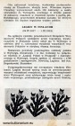 43. LEGION W FINLANDII (24.IV.1917 - 1.III.1918)